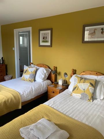 The Firs At Hay-On-Wye B&B Exteriör bild