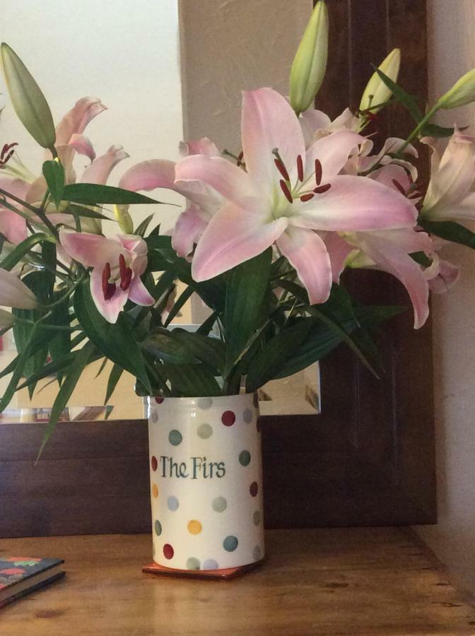 The Firs At Hay-On-Wye B&B Exteriör bild