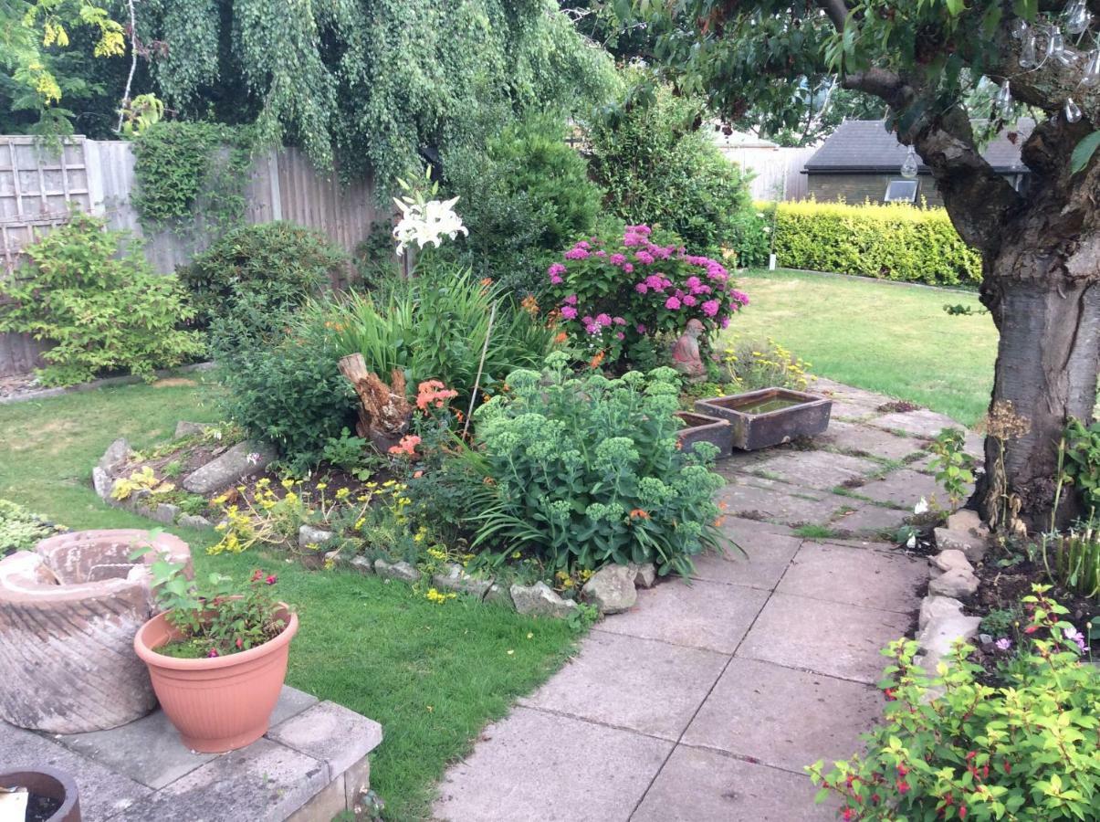 The Firs At Hay-On-Wye B&B Exteriör bild